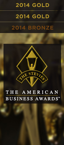 The American business awards 