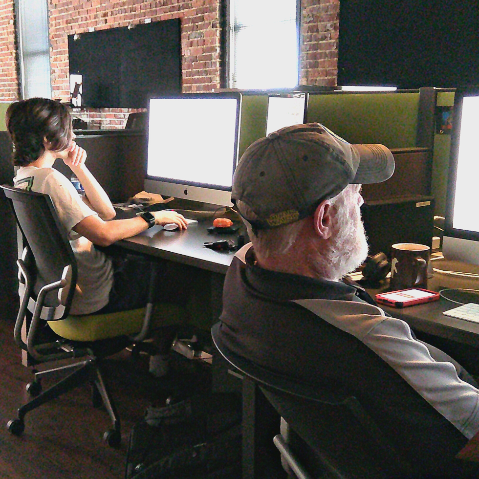 Haneke employees working at computers